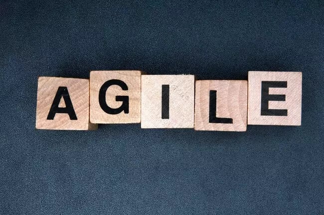 Agile-BPM-vs-Custom-Coding