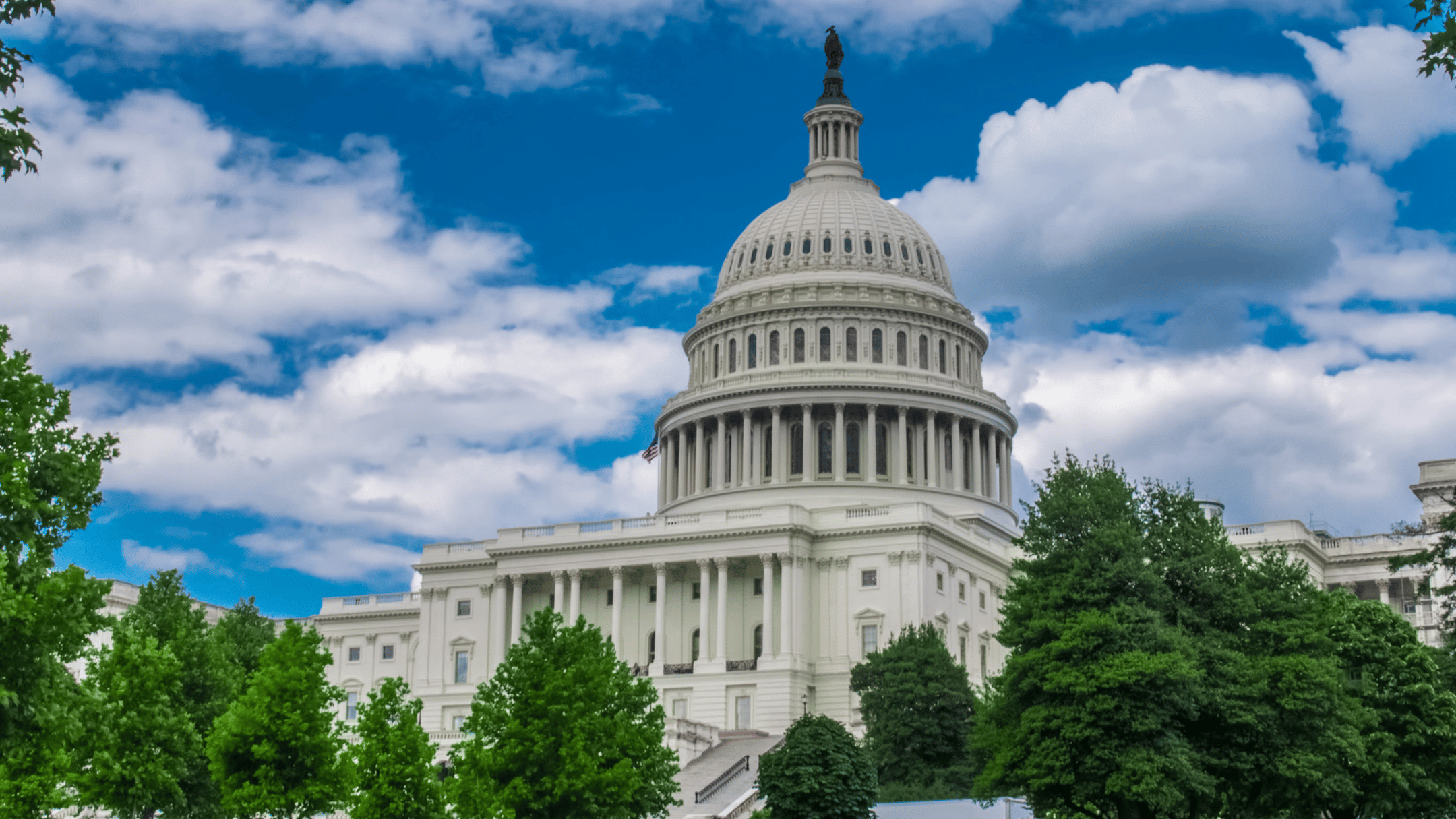 Process Director for Federal